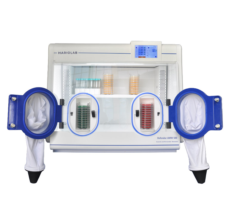 Defendor AMW500 厌氧工作站
