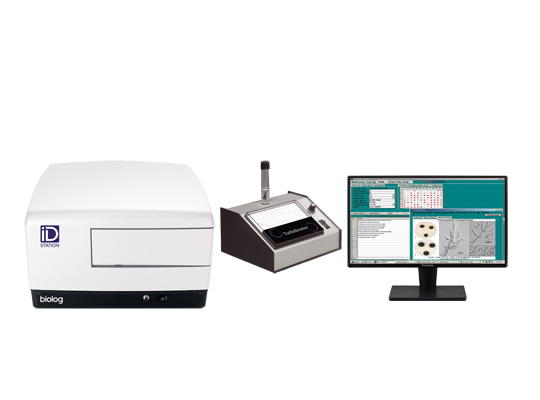 微生物检测与研究的经典方法