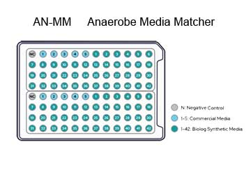 AN-MM 厌氧菌培养基优化板