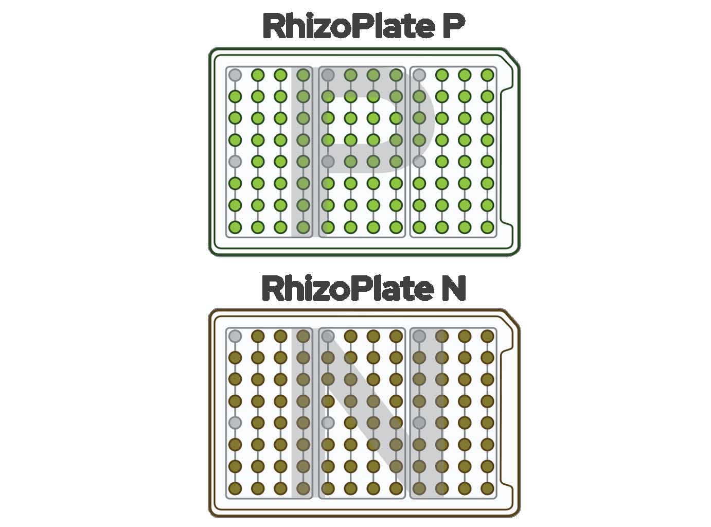 Rhizoplate P&N 根际微生物溶磷和固氮研究板