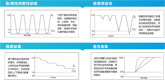 Smartor118 Pro 高低氧小三气培养箱