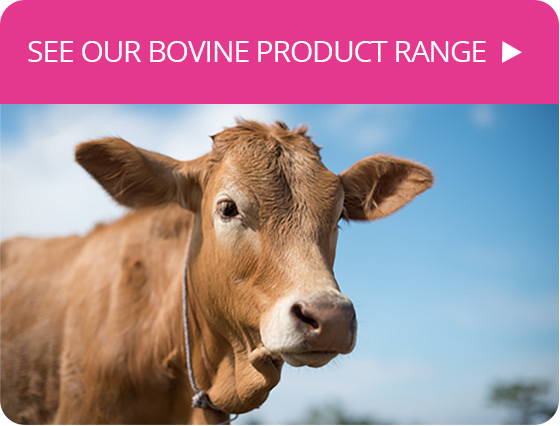 IVF Bioscience 动物体外胚胎培养基