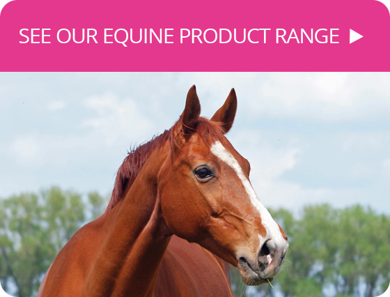 IVF Bioscience 动物体外胚胎培养基