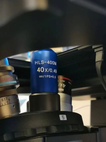 胚胎干细胞移植