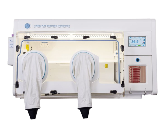A35 厌氧工作站（有袖型或无袖型）