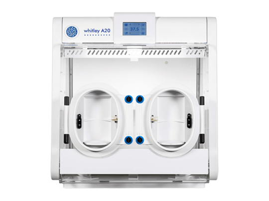 A20厌氧工作站（紧凑型）