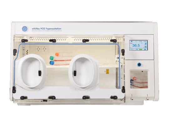 H35低氧工作站