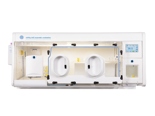 A45厌氧工作站