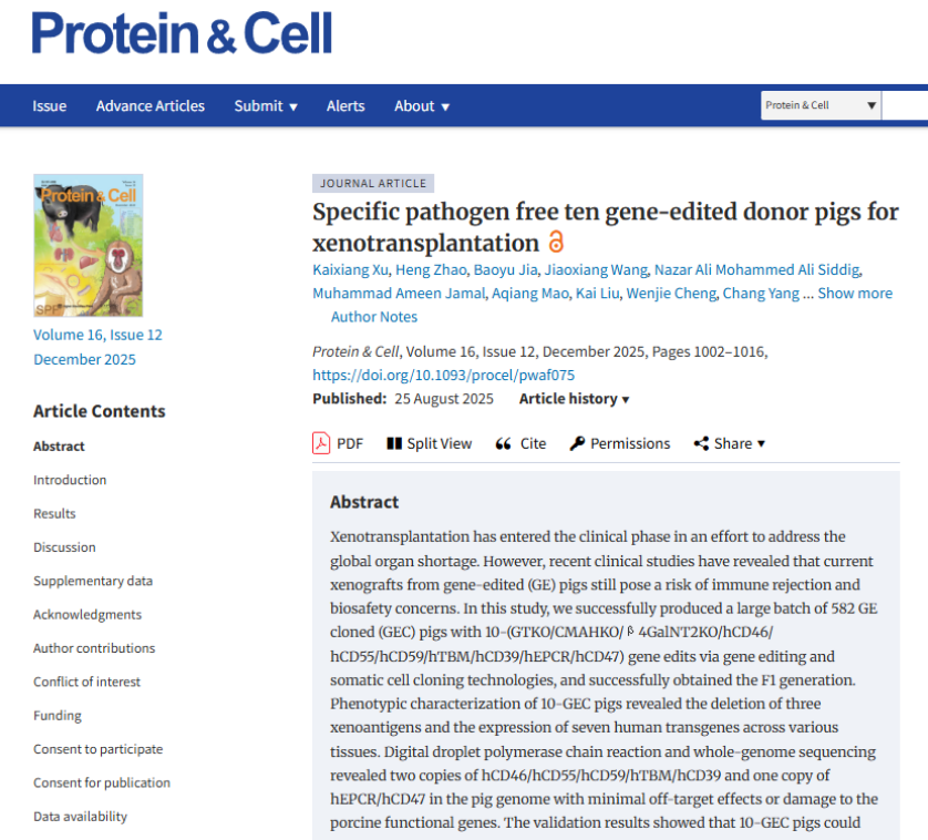 云南农业大学魏红江教授团队获“华粤行科技论文奖励计划”奖励 --为猪-人异种移植提供中国方案